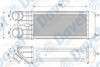 TURBO RADYATORU C2-C3 207 ####