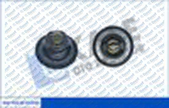 TERMOSTAT 75°C RENAULT CLIO III