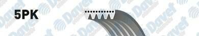 KANALLI KAYIS AUDI A6-A8-LOGAN-HYUNDAI-PAJERO-ALMERA-MICRA-CLIO II-III-KNG 1.5 DCI-MGN II-MODUS-AVEN