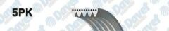 KANALLI KAYIS AUDI A6-A8-LOGAN-HYUNDAI-PAJERO-ALMERA-MICRA-CLIO II-III-KNG 1.5 DCI-MGN II-MODUS-AVEN