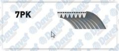 KANALLI KAYIS NISSAN MICRA K12 1.6 16V 05-09 NOTE 1.6 16V 06-