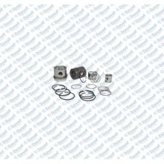 MOTOR PISTON SEGMAN 69.60MM  0.40 1.00 OPEL CORSA D MERIVA ASTRA J 1.3D MTJ MITO STRADA PICK UP PANDA FIORINO KASTEN KOMBO QUBO IDEA PUNTO VAN AVEO EURO 4 1.3 75HP MTJ 16V EURO 5 95 PSA 13DTE 4 SIL. DIZEL 1248CC 75HP 95 70KW 16.8:1 START STOP