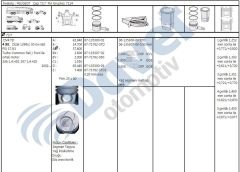 MOTOR SEGMAN 74,20MM 0,50 FARK PEUGEOT P207 P107 P206 P307 CITROEN C1 C2 C3 XSARA II DV4TD 1,4HDI 8V FORD FIESTA 1,4 TDCI OLCU 2,5X1,95X2,5