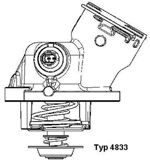 Termostat |  Mercedes | WAHLER