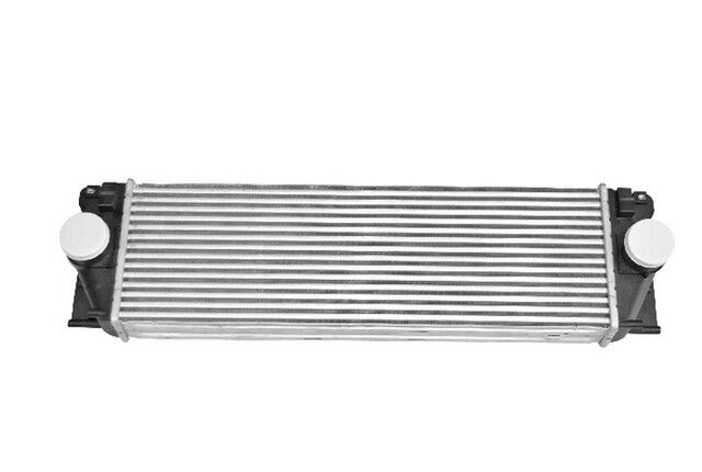 Yağ Filtre Contası | Touareg-Cayenne Vw | ELRİNG