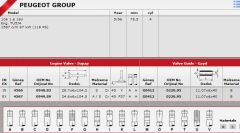 SİBOP TAKIMI 4566 4567 IN 8 EX 8 P106 GTI-16V (TU54)