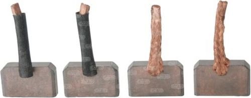 Kömür Seti (24 V.) - Renault ; 5001846420 ; İka 019321