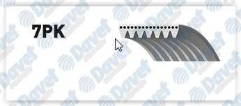 KANALLI KAYIS SUZUKI GRAND VITARA 1.9DDIS 8V 06-