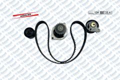 EKSANTRIK RULMAN KITI + SU POMPASI [CONTI KAYIS 134 DIS, SKF NSK RULMAN] 1007 206 207 307 308 PARTNER BERLINGO C2 C3 C4 C5 1.6 16V 98> TU5JP4 EC5