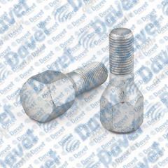 BIJON CIVATASI YM. PALIO - ALBEA