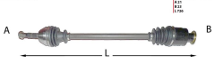 KOMPLE AKS SAG RENAULT R9 (85-00), R11 (84-95) 1.4, 1.6D