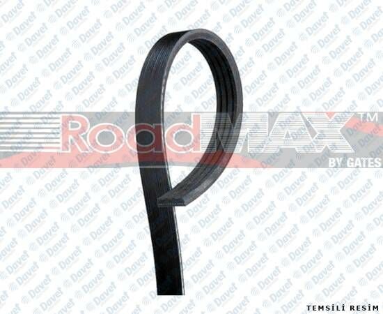 KANALLI KAYIS OPEL OMEGA 2.6 3.0 86 94 VW 2.5 10V 94 03 CHEVROLET DODGE FORD LEXUS MERCEDES SAAB 6PK2228   ####