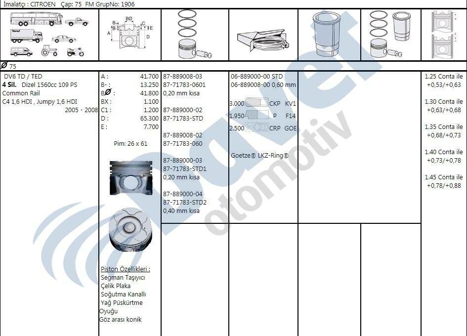 MOTOR SEGMAN 75.00MM STD PEUGEOT P206 P207 P307 P308 P3008 EXPERT III PARTNER  CITROEN C5 II FORD FOCUS CMAX 1.6HDI DV6 1.6HDI 16V OLCU 3X1.95X2.5