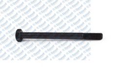 SILINDIR KAPAK CIVATASI ORTA M131 DKS